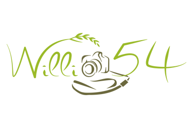 willi54 logo