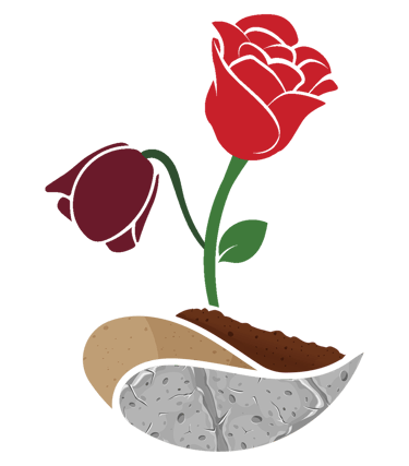 WizeKap logo
