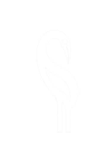 Suncofa Studios logo