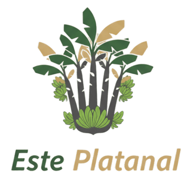 ESTE PLATANAL logo