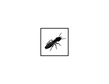 silhouette image of a eastern subterannean termite