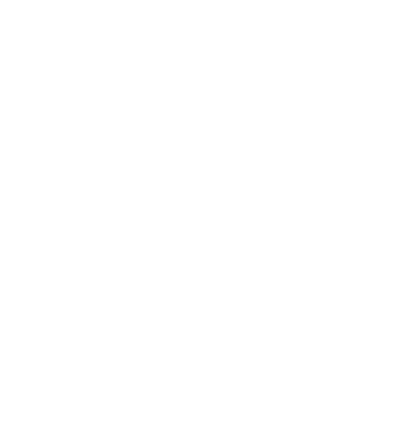 Saint Beach logo