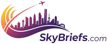 SkyBriefs logo