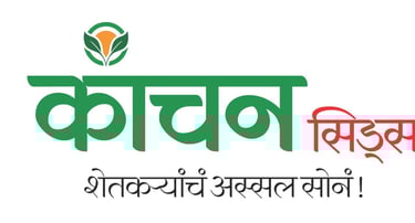 Kanchan Seeds logo