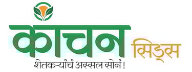Kanchan Seeds logo