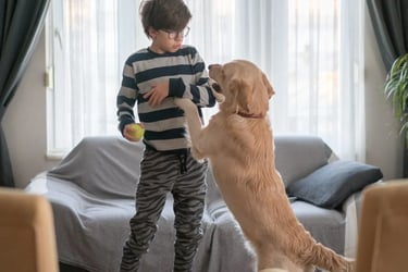 dog-jumping-up