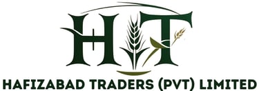 Hafizabad Traders  logo