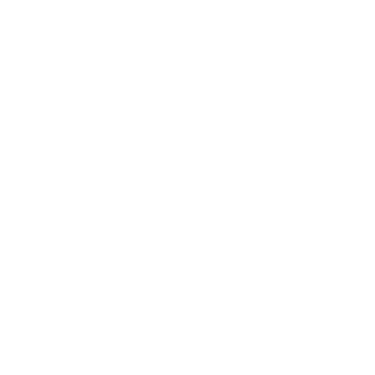 the Bird Bustin Babes logo