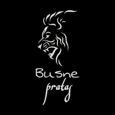 Busne Pratas logo