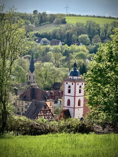 aussicht auf marktbreit vom eigenen weinberg