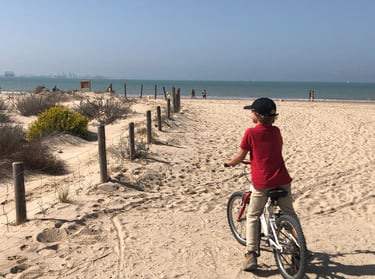VIsta playa de Valdelagrana y Bahia desde parque los Toruños, Puerto de santa maría, Cádiz