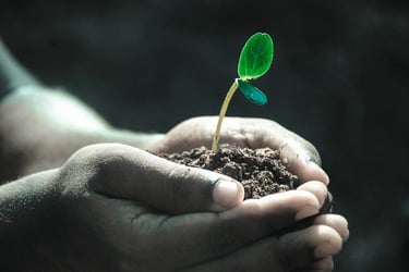 Produits de nettoyage écologiques utilisés par MultiServices Express Ménage Inc. pour un entretien m
