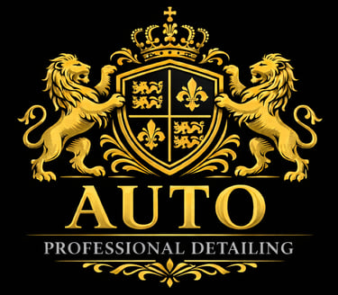 DriftandShine Mobile Car Detailing North York logo