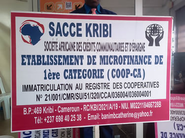 AGENCE SACCE KRIBI