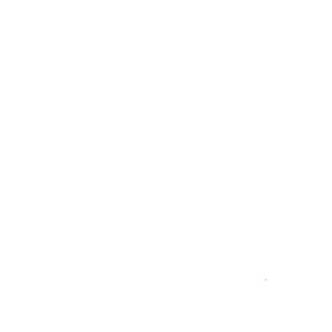 PSSS logo