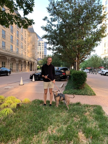 A man stands on a grassy area holding a leashed dog on a city sidewalk.