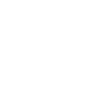 Chuck Taylor Photographer logo