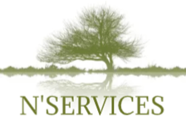 N'SERVICES logo