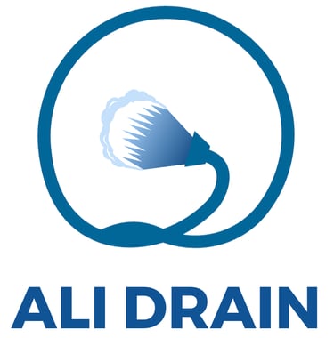 Dani DrainMasters INC logo