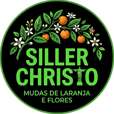Viveiro Siller Christo logo