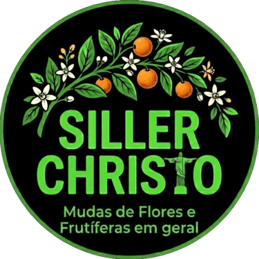 Viveiro Siller Christo logo