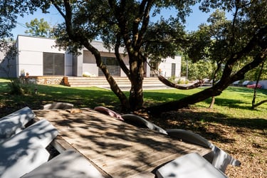 vue sous les arbres de la maison moderne et piscine