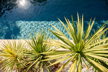 eau turquoise piscine