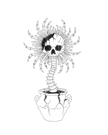 Black and white ink drawing of a skull flower with a spinal stem growing from a cracked stone pot.