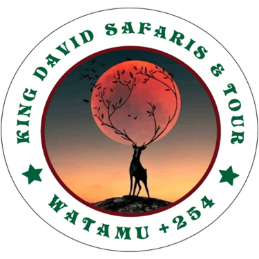 King David Safaris & Tours logo