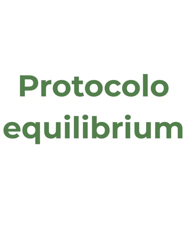 Protocolo Equilibrium logo