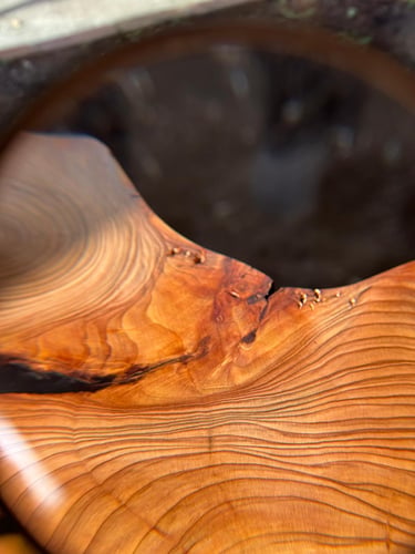 closeup of wood grain showing the different colors and ring formations