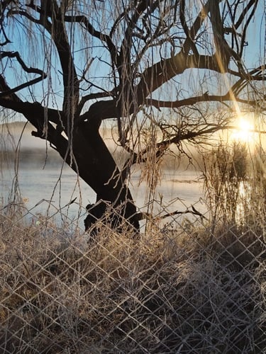 PRIMER NEVADA EN 2025 A ORILLAS DEL RÍO COLORADO, MATIENZO