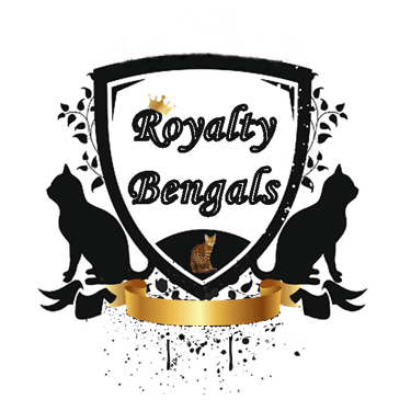 Royalty bengals gatos de raza bengalí logo