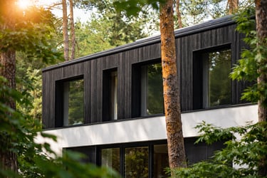 de la peinture effet bois naturel noire sur bardage de maison contemporaine