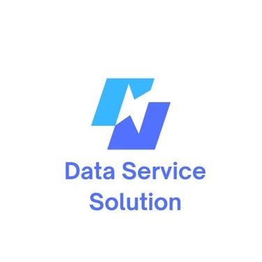 Data Service Solution LLC logo