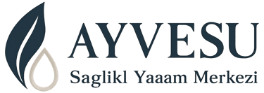 Ayvesu logo