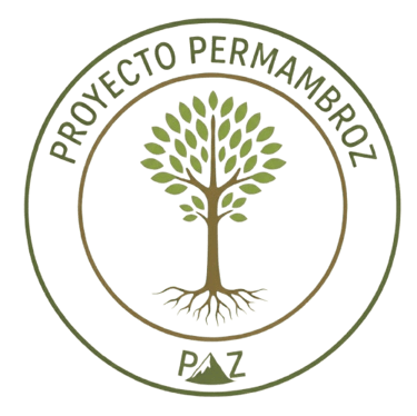 PermAmbroZ logo