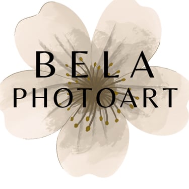 Bela Photoart logo
