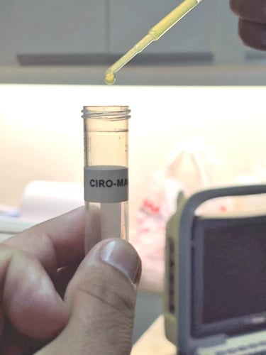 Procedimiento de inseminación en laboratorio veterinario