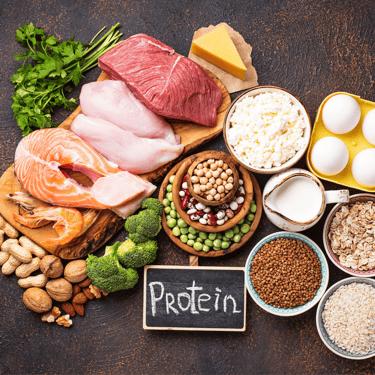 protein rich food