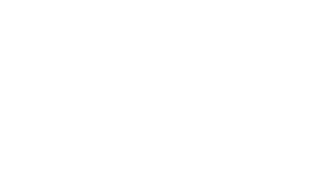 ANS Dizital