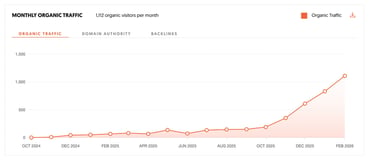 Website Traffic report