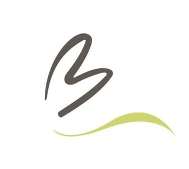Brisas de Nono logo