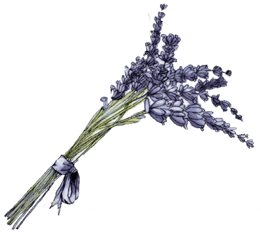 Lavender Bliss logo