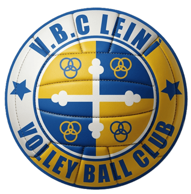 Leinivolley logo