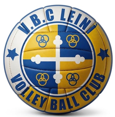 Leinì Volley logo