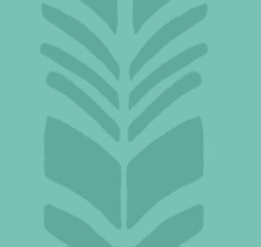 Lakeland Chiropractic Clinic logo