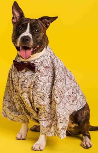 perro pitbull usando camiseta estampada y un lazo color vino