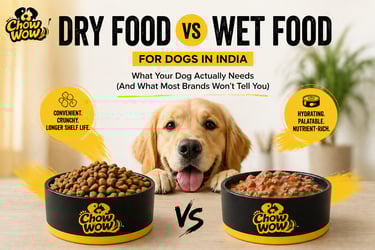 Golden Retriever dog between bowls of Chow Wow dry and wet dog food, explaining their benefits for Indian dogs.