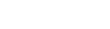 PingVista logo